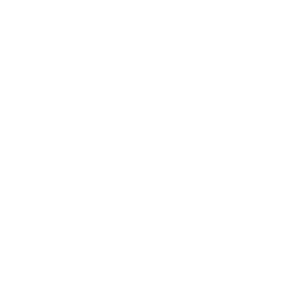 W3 Developer